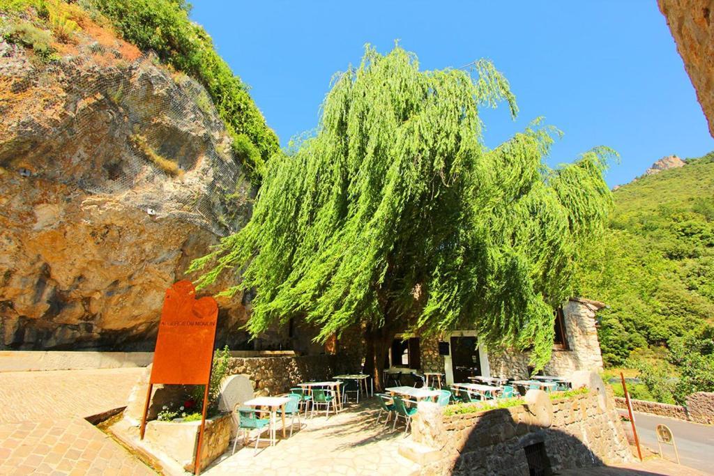 Hostellerie Du Vieux Moulin Duilhac ภายนอก รูปภาพ